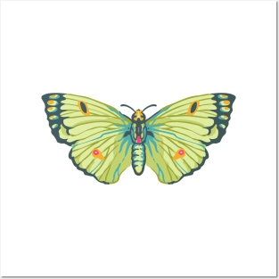 Butterfly Posters and Art